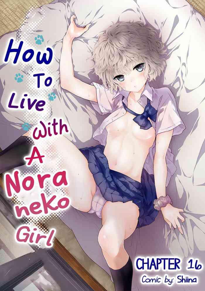 noraneko shoujo to no kurashikata ch 1623 cover