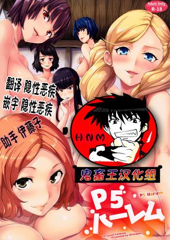 p5 harlem cover