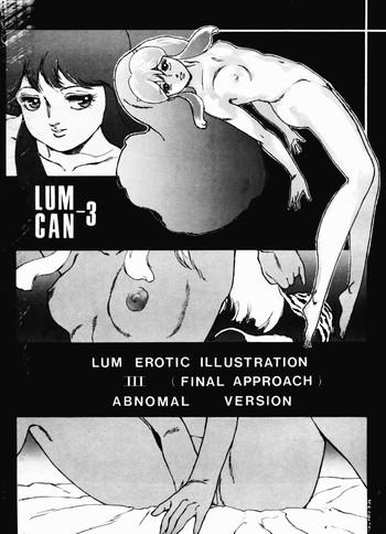 lum can 3 cover