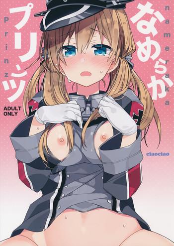 nameraka prinz cover