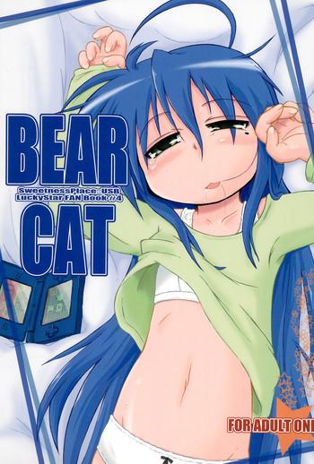 bear cat cover