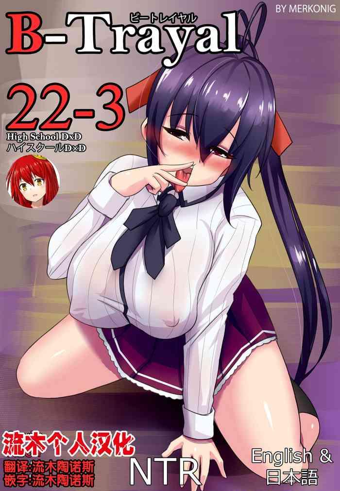 merkonig b trayal 22 3 akeno highschool dxd chinese cover