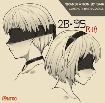 2b 9s cover