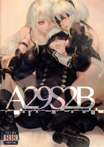 a29s2b cover 1