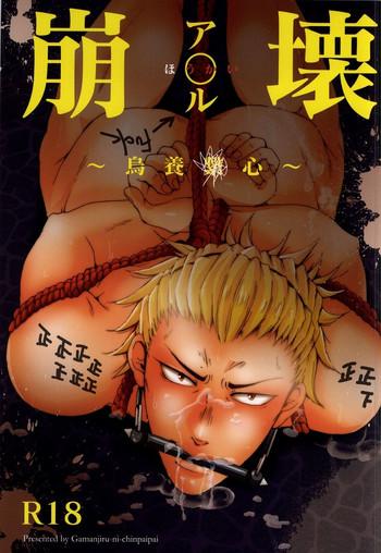 anal houkai cover