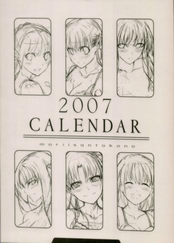 fate mini calendar 2007 cover