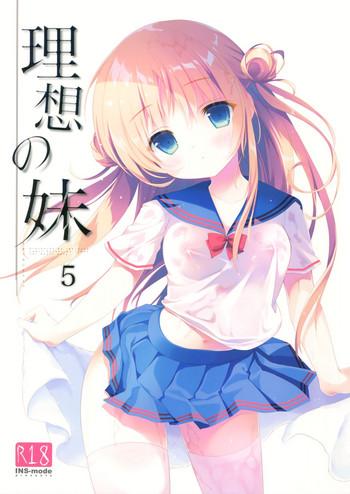 risou no imouto 5 cover