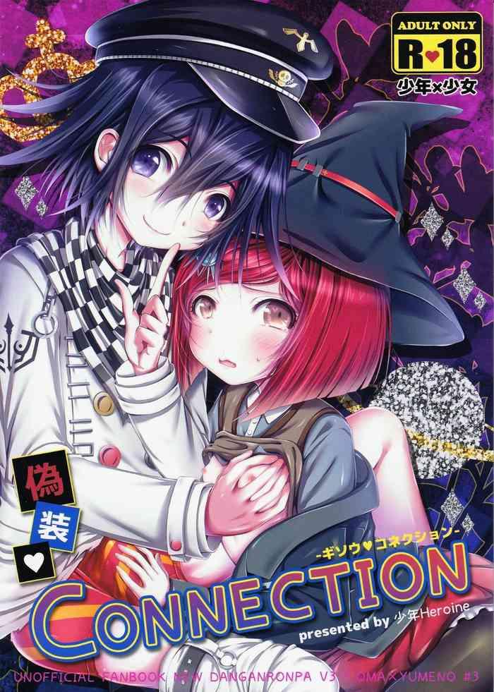 gisou connection camouflage connection cover
