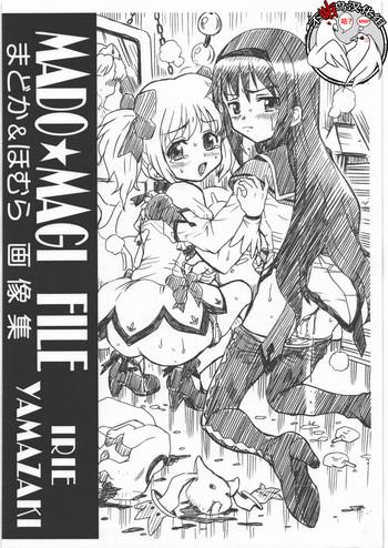 mado magi file madoka homura gazoushuu cover