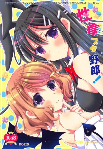 seishun buta yarou cover