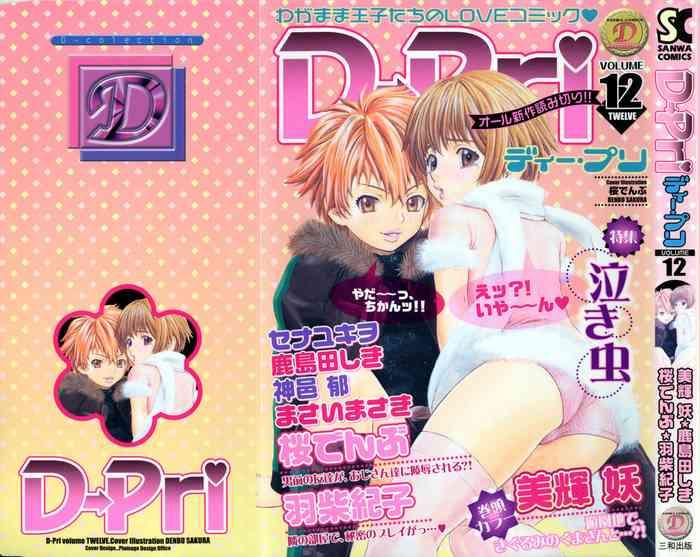 d pri vol 12 cover